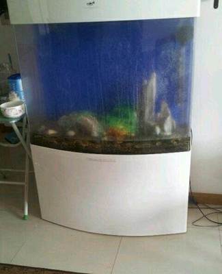 八成新熱帶魚魚缸轉讓，含配套小工具，適合新手入門