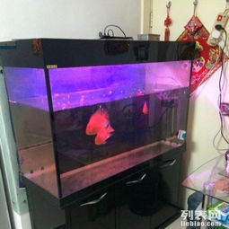 一米二魚缸及全套配件轉(zhuǎn)讓