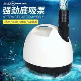 廣東閩江水族箱與寵物配件 打造水下生態(tài)的藝術(shù)與科學(xué)