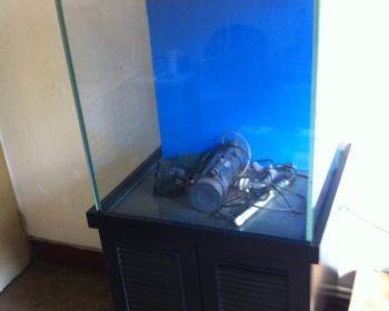 探索海水缸之美 天津600mm×600mm海水魚缸選購(gòu)指南
