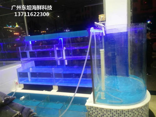 佛山海鮮池配件與玻璃魚缸 寵物水族配件的專業選擇指南
