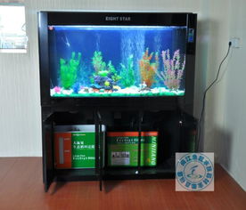 閩江水族箱大型生態魚缸玻璃水族箱龍魚缸底過濾閩江八星1.5米